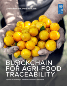 Cover of the UNDP publication ‘Blockchain for Agri-Food Traceability (2021)’